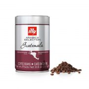illy® кафе на зърна – Arabica Selection Гватемала – 250 гр